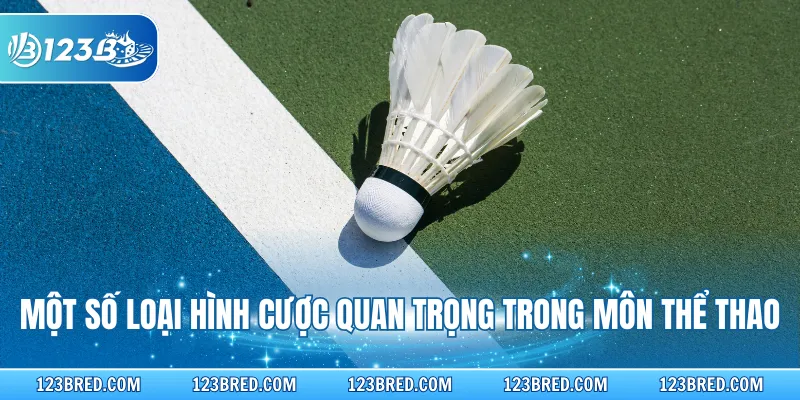 Một số loại hình cược quan trọng trong môn thể thao