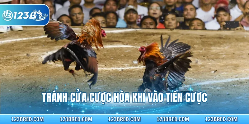Tránh cửa cược hòa khi vào tiền cược